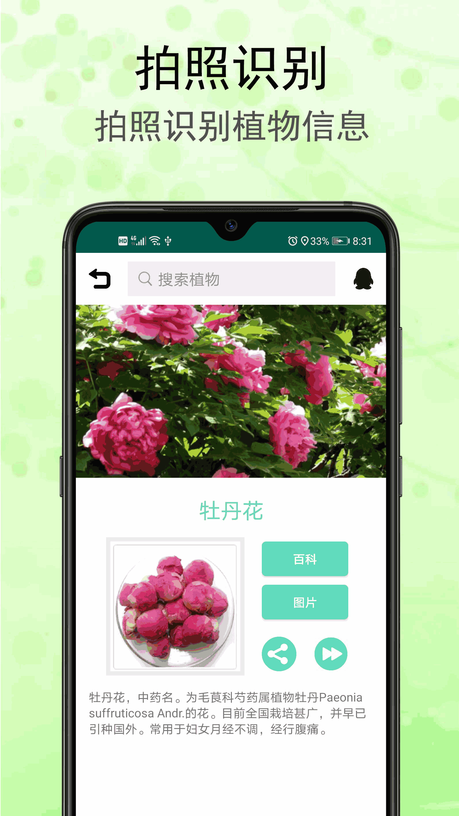 识花草